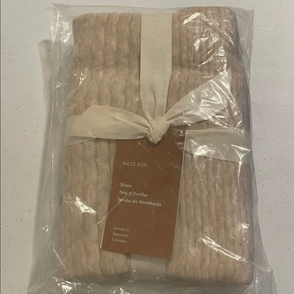 West Elm Cotton Cloud Jersey Standard Sham Oatmeal